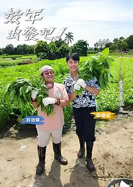旅行综艺去往山顶的巴士在线观看